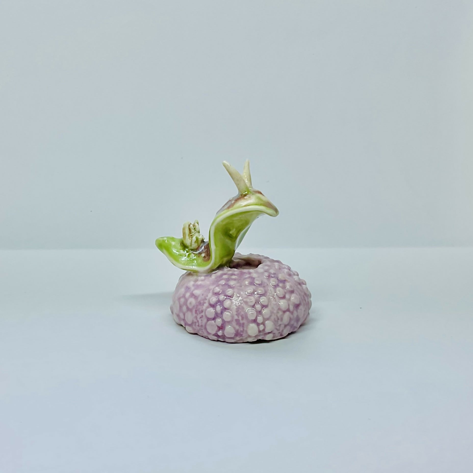 Porcelain Pink Sea Urchin with Sea Slug