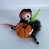 'I Heard A Pumpkin A Day Keeps The Goblins Away'