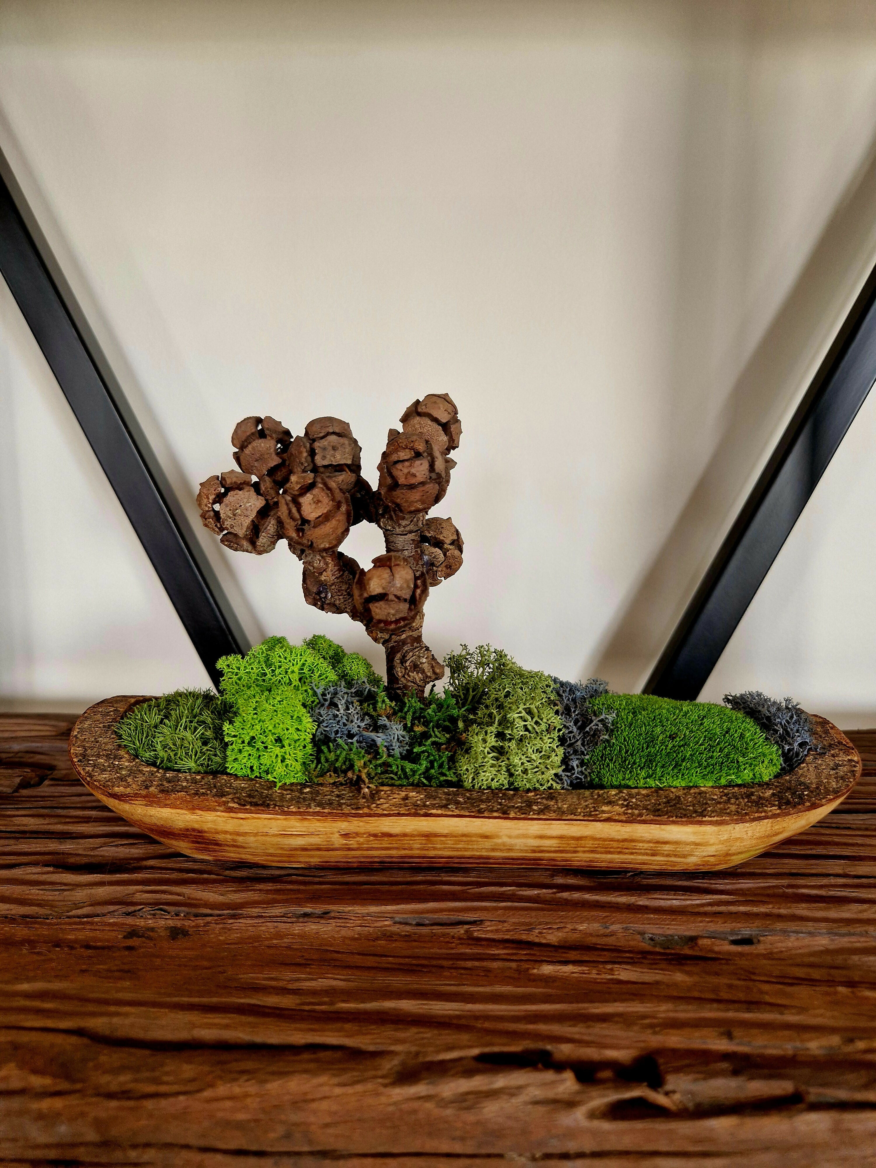 Cypress Tree Teak Bowl