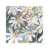 'Daisies' 6x6 Giclée Print