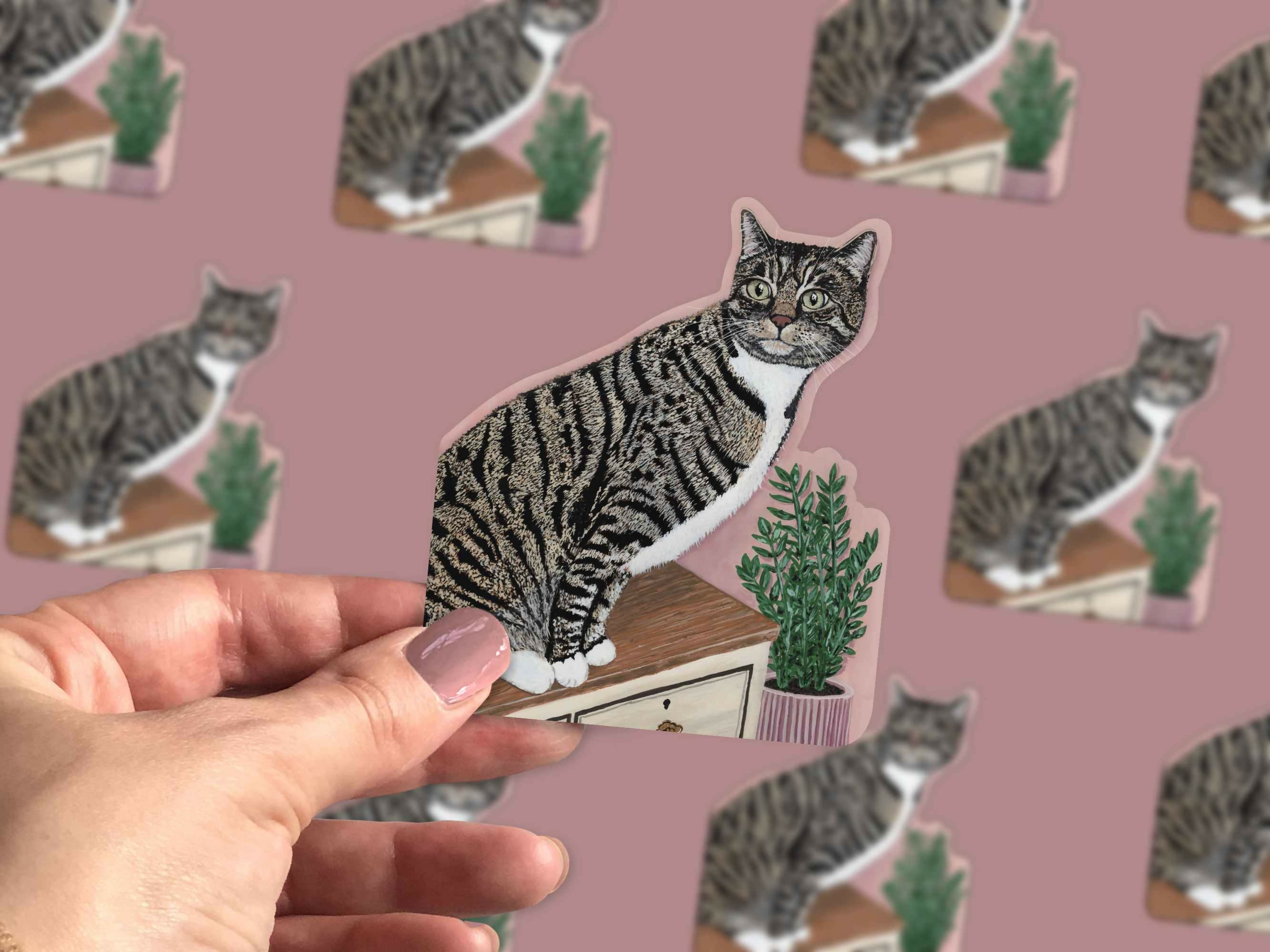 Tabby Cat Stickers - Die Cut Stickers Pack of 3