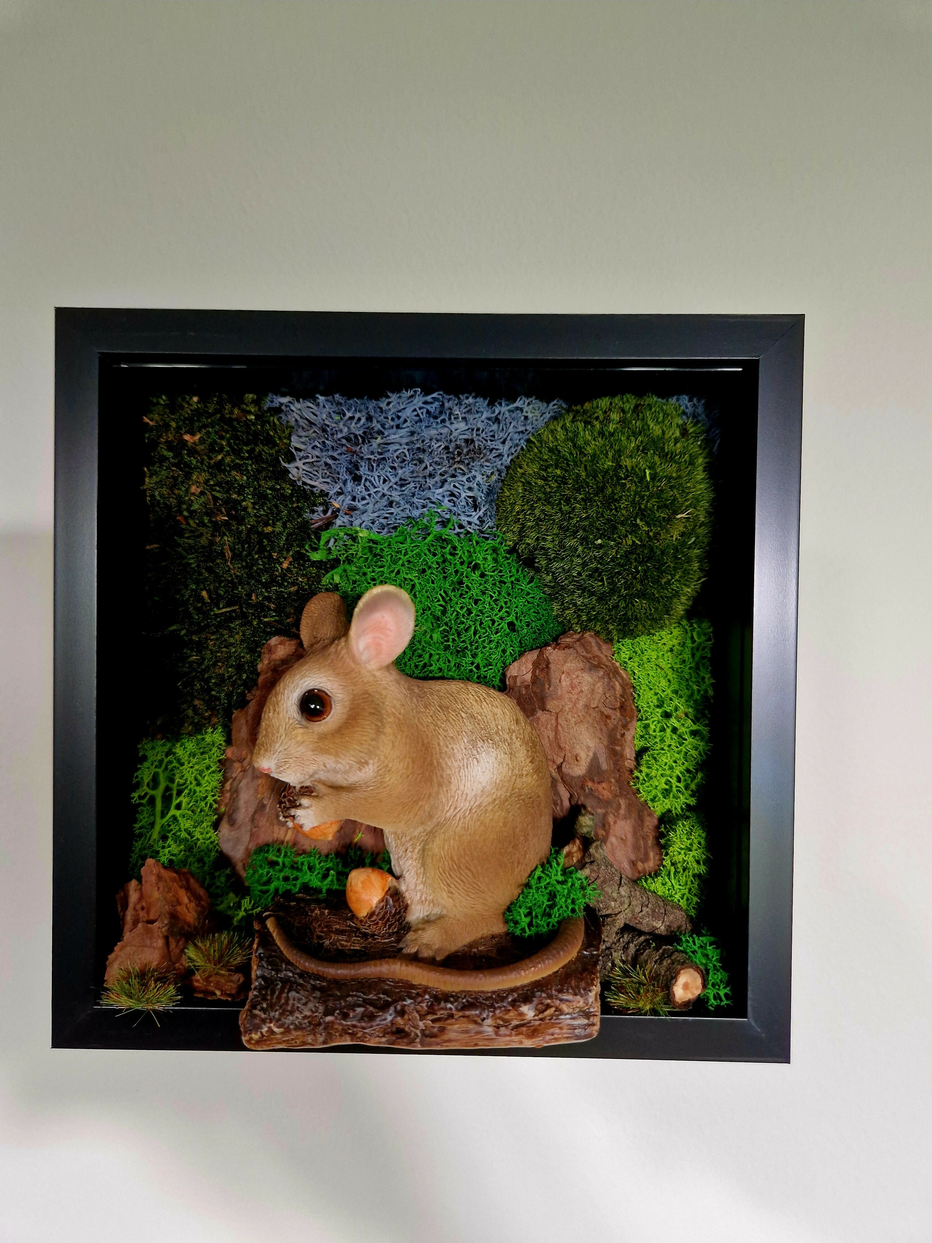 Field Mouse