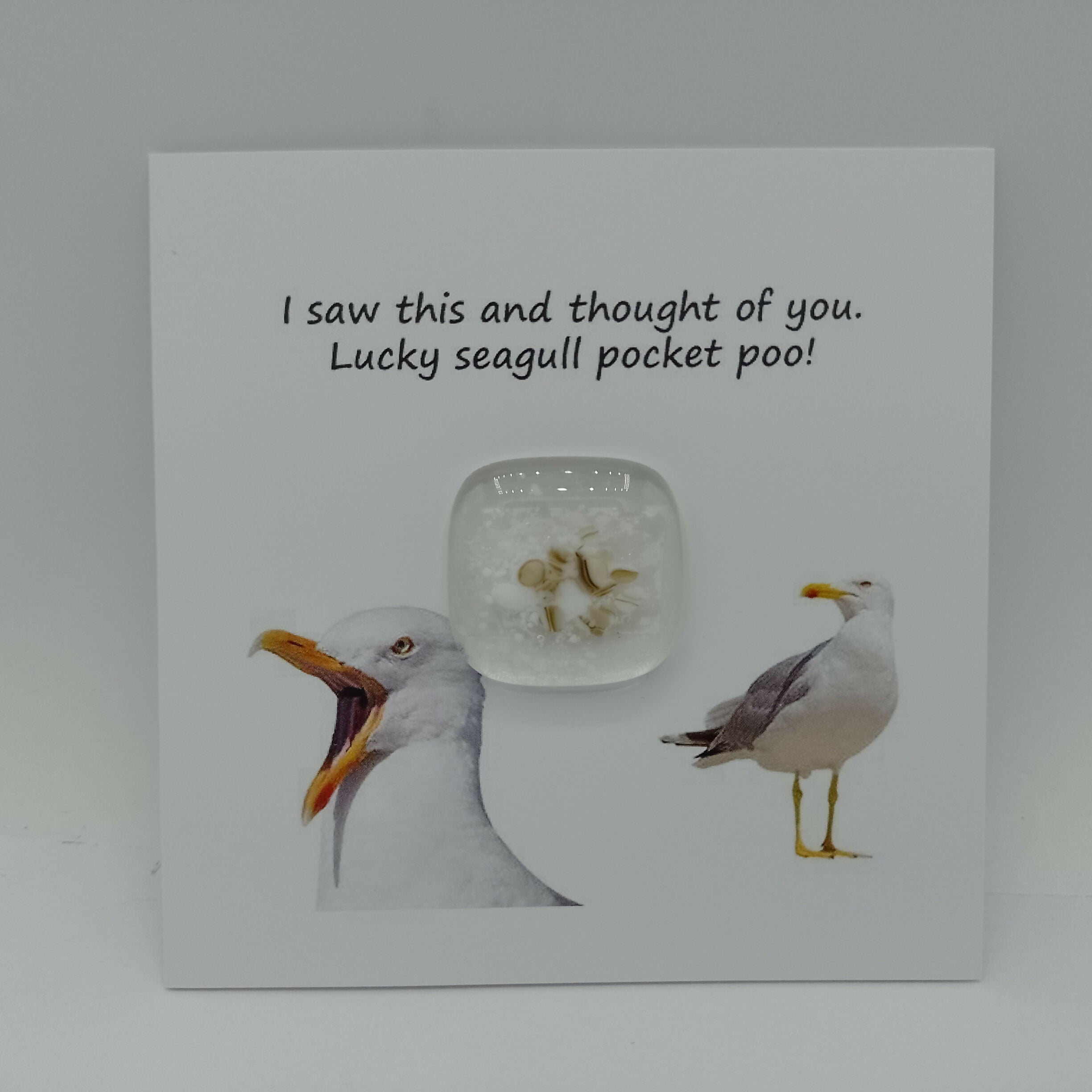 IMG_20250504_182241_160