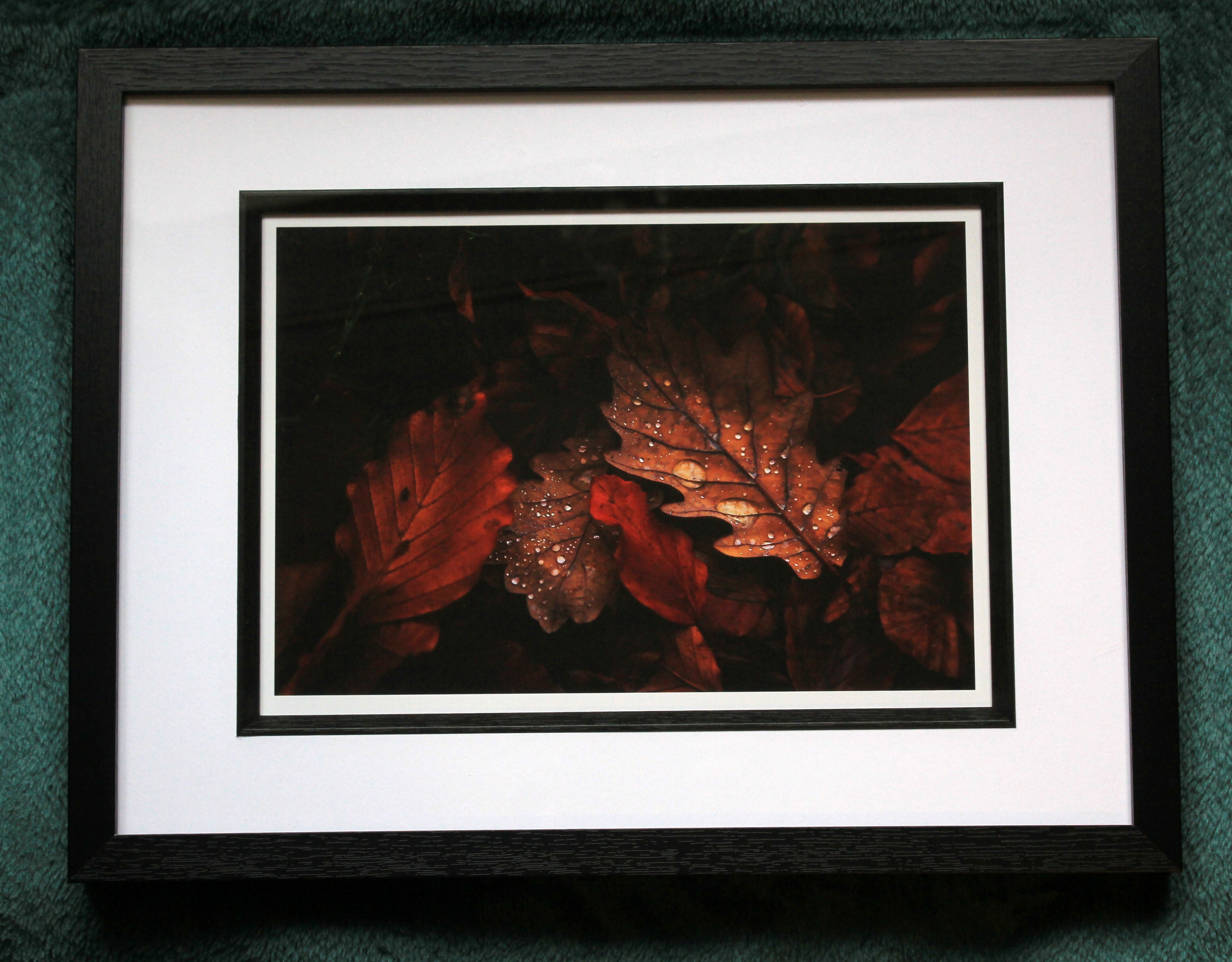 Autumn Leafs - A4/A3