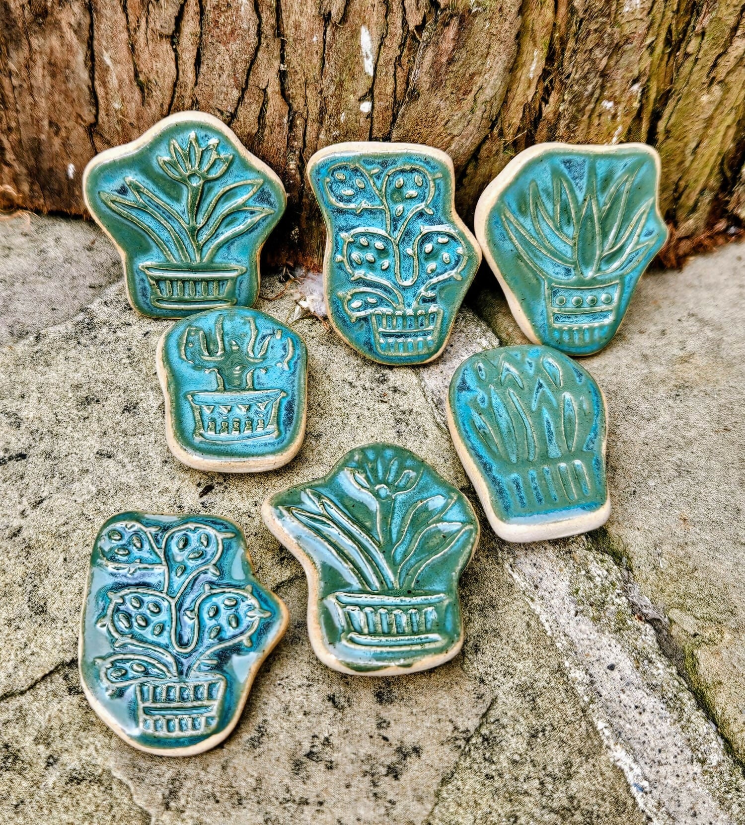 cactus magnet 1