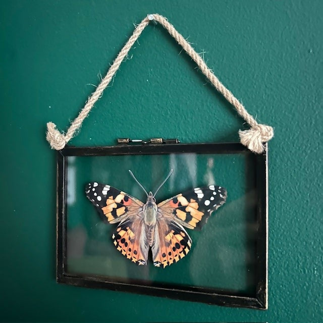 Lovey Faux Paper Painted Lady Butterfly In An Antique Inspired Frame