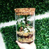 Artisan Bonsai Terrarium