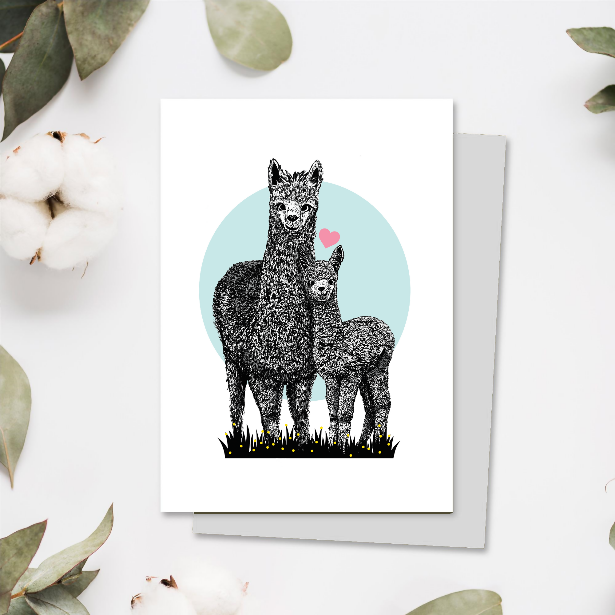 12-alpacas