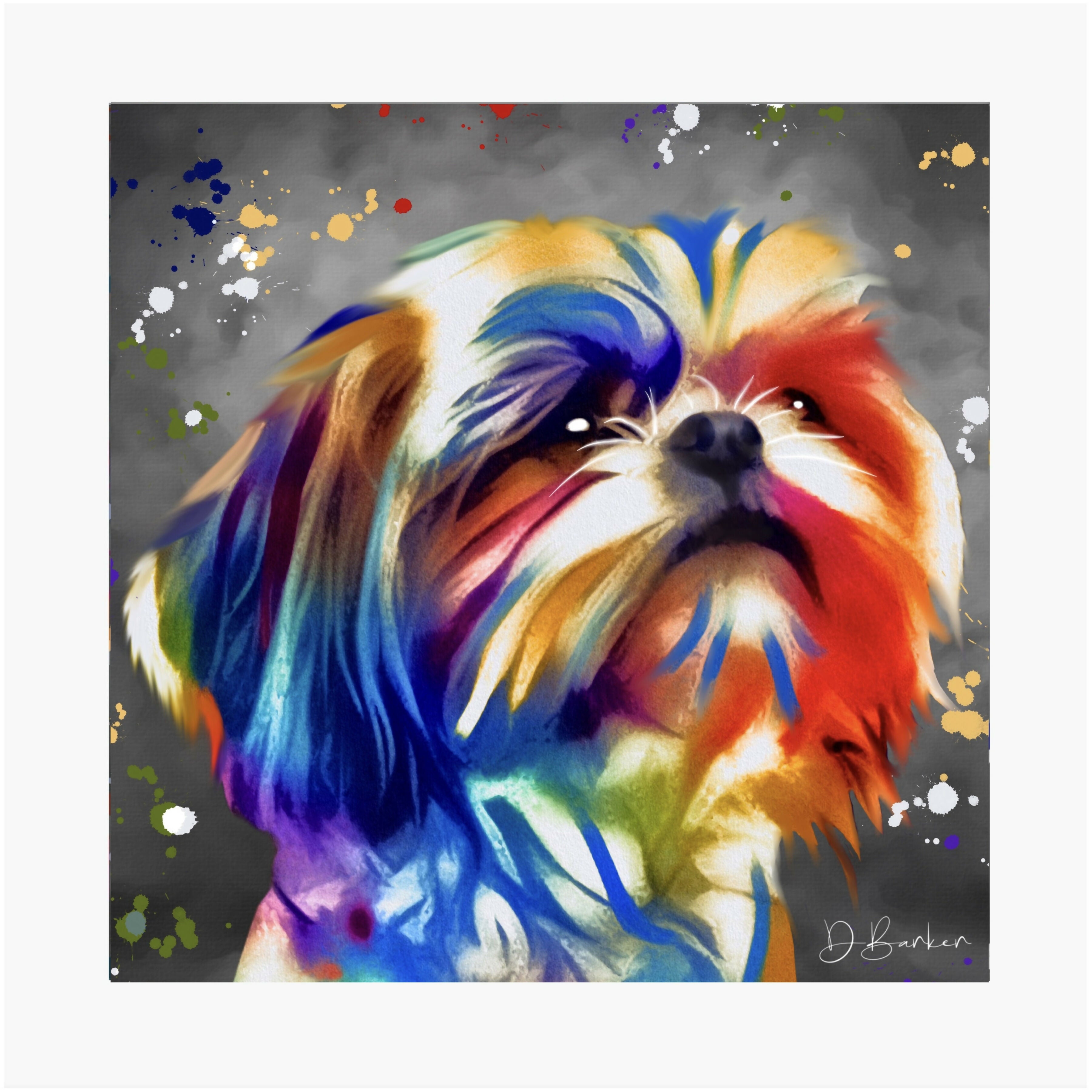 SHI TZU DOG - COLOUR SPLASH MOUNTED ARTWORK.