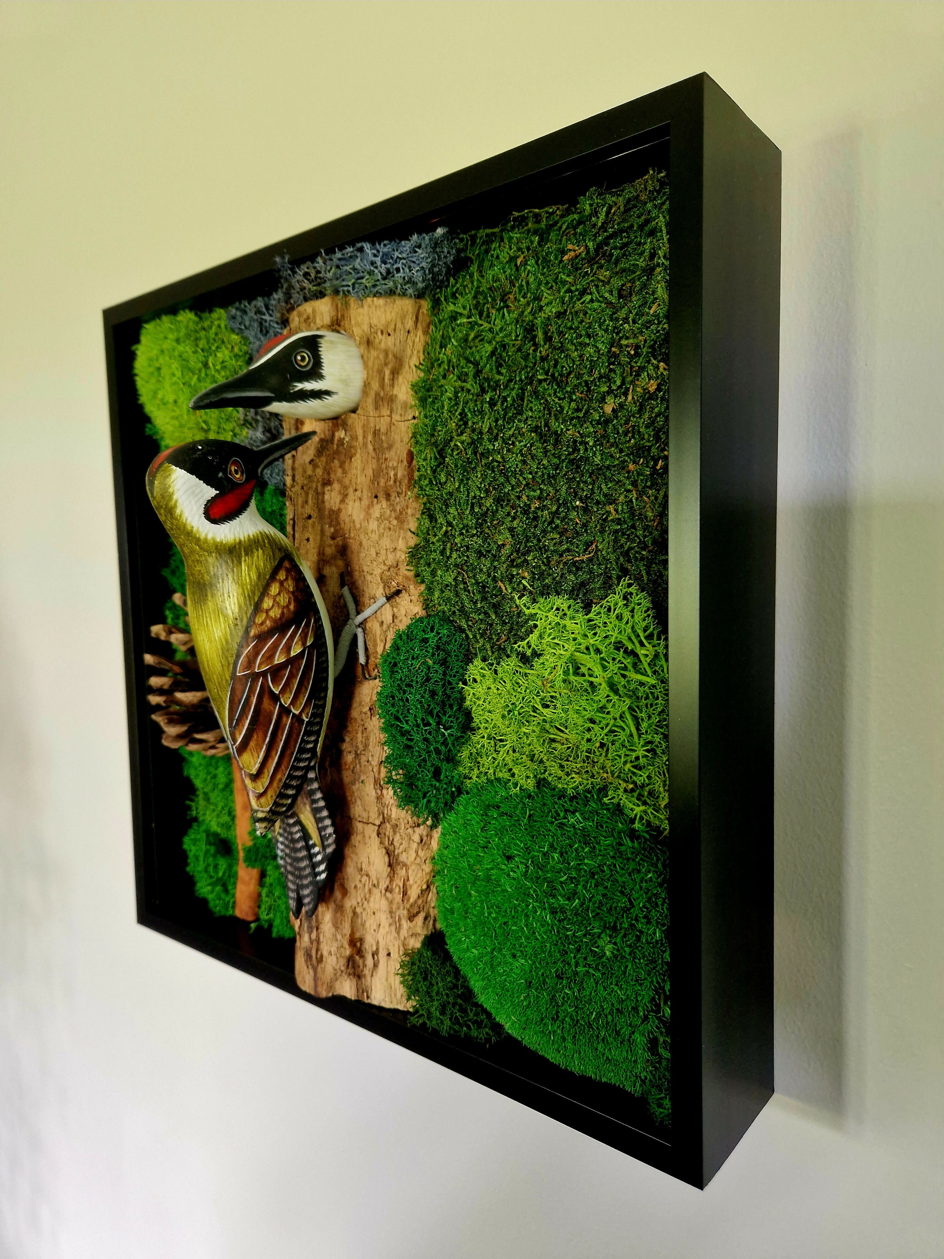 Woodland Woodpeckers