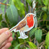 Rockin' Robins - Gloss Sticker Pack