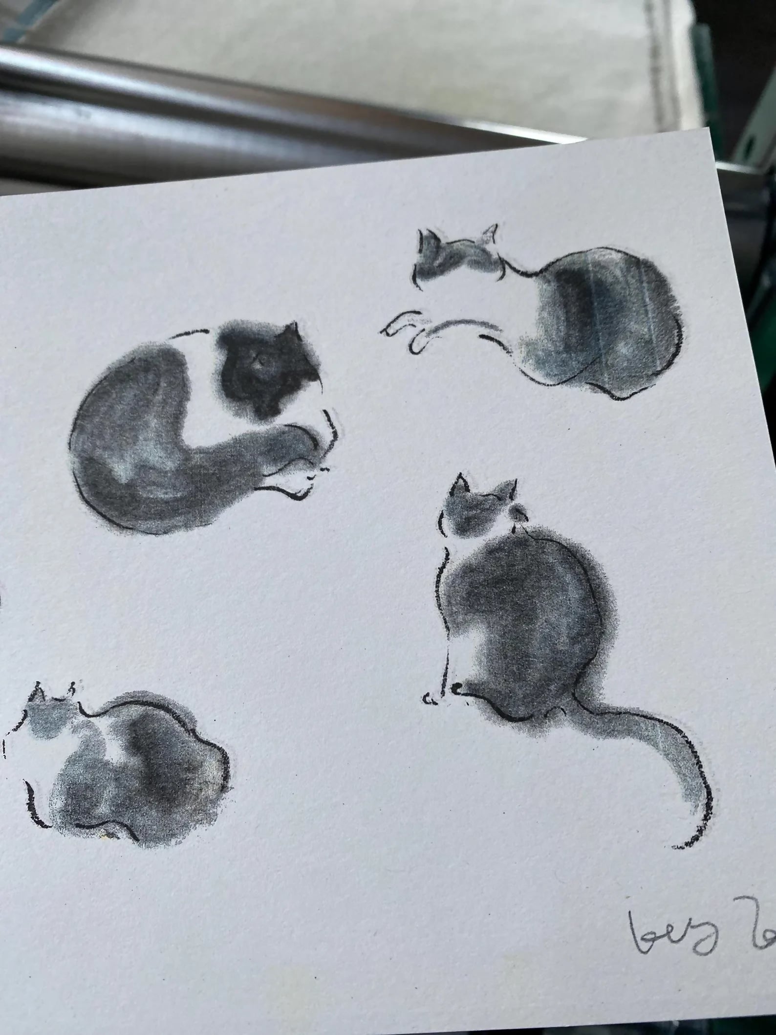 Cat Riso Print
