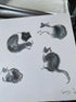 Cat Riso Print