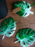 Monstera Coasters