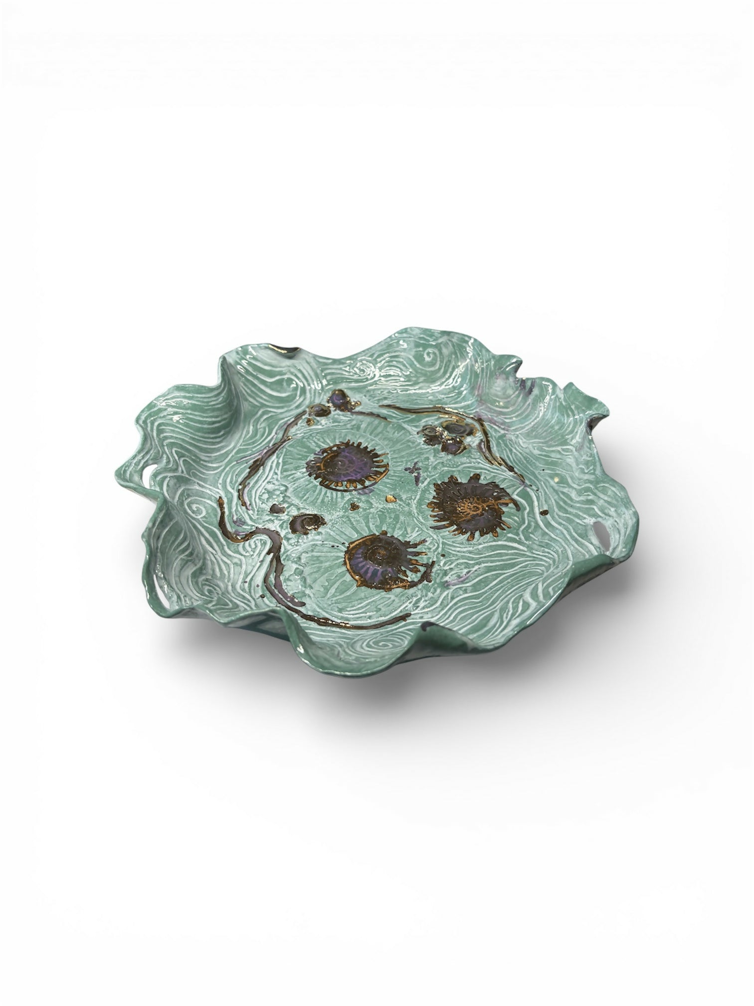 Large Fossil and Wave Dish