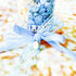 Horoscope Collection - Aqua Dreams (Aquarius)