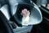 Pink Peony Flower Car Air Freshener