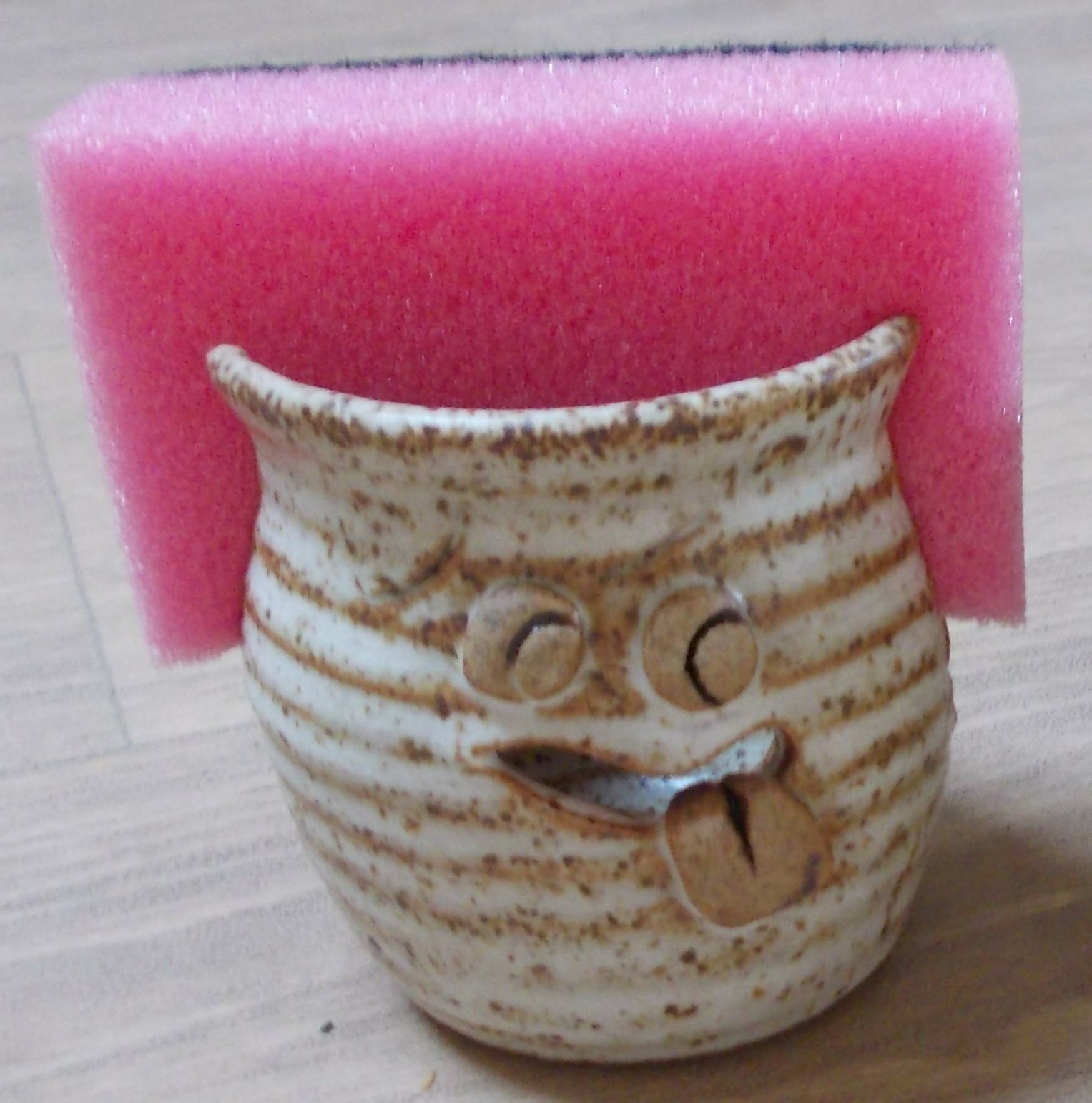Kitchen Sponge Holder with Face