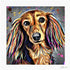 LONG HAIRED DACHSHUND DOG COLOUR SPLASH MOUNTED ARTWORK