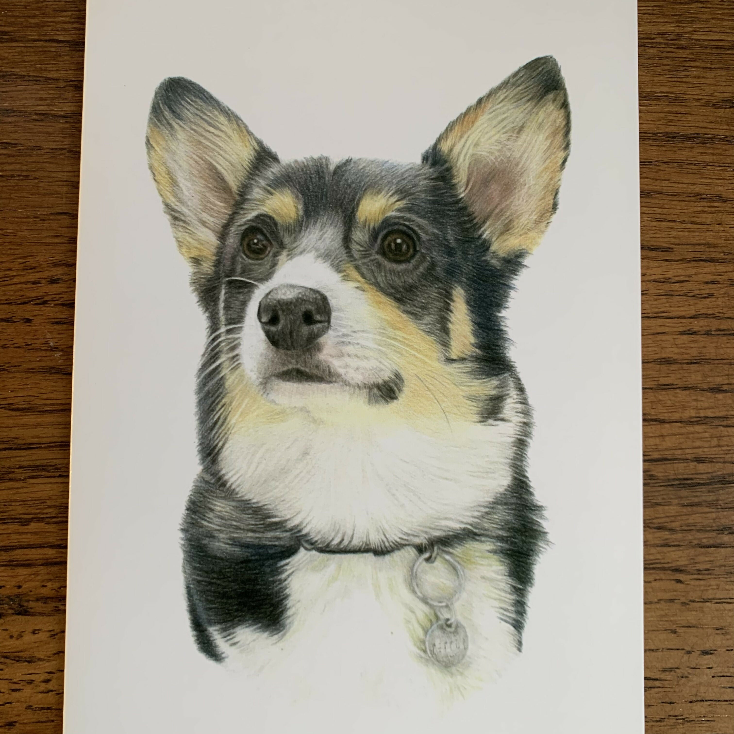 Greeting Card of a Corgi. Blank Inside