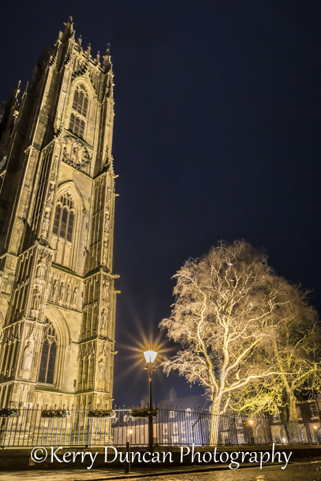 Beverley_Minster_Church_Night_Town_City_Tree