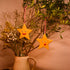 Handmade Hanging Star Ornament