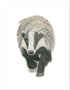 Badger Art and soul
