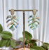 Aqua Collection - Monstera Leaf Polymer Clay Earrings
