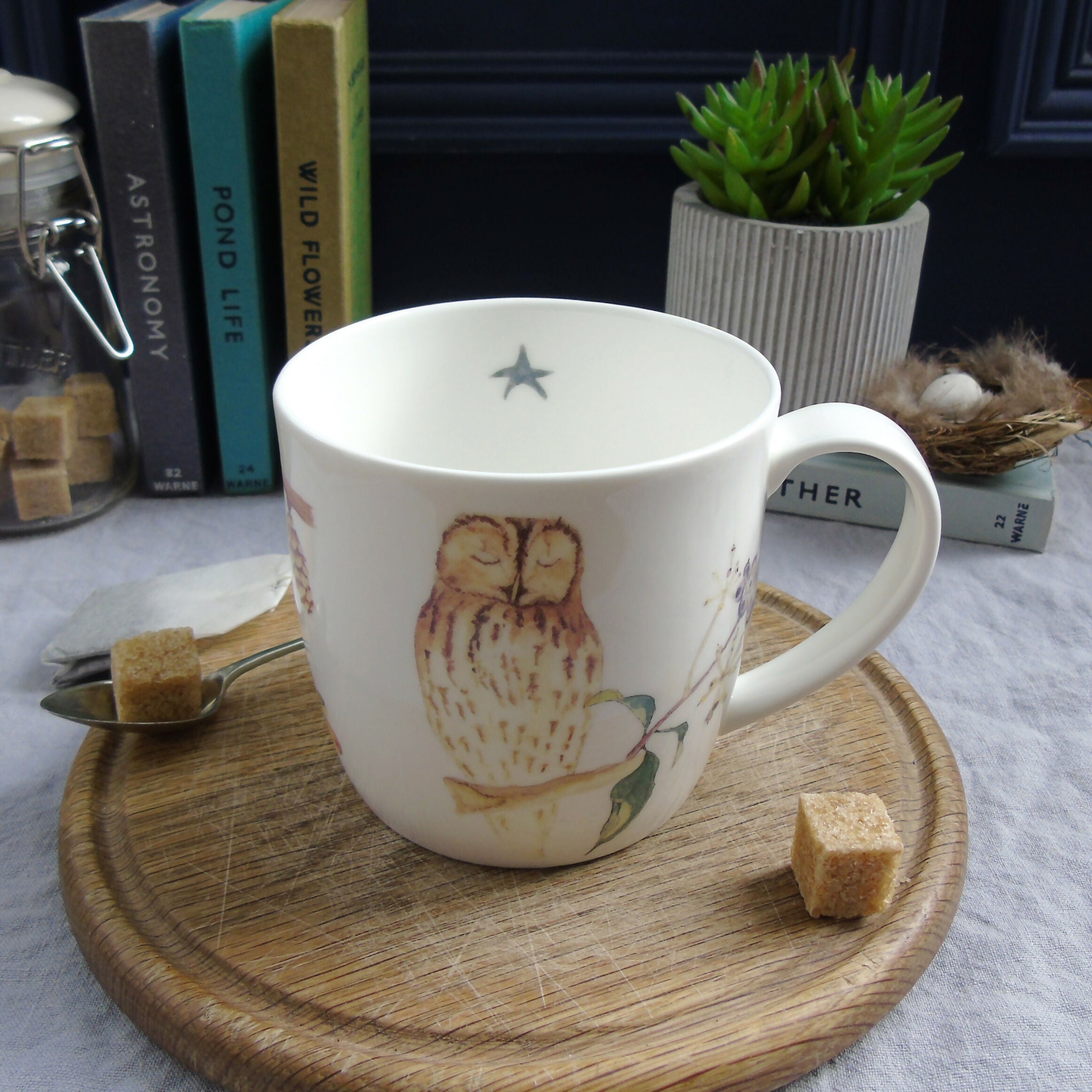 Tawny Owl and Ivy Berries Mug