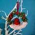 Robin Christmas Wreath