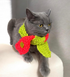 PET SCARF, FUN, BRIGHT PINK AND LIME- CAT OR SMALL DOG