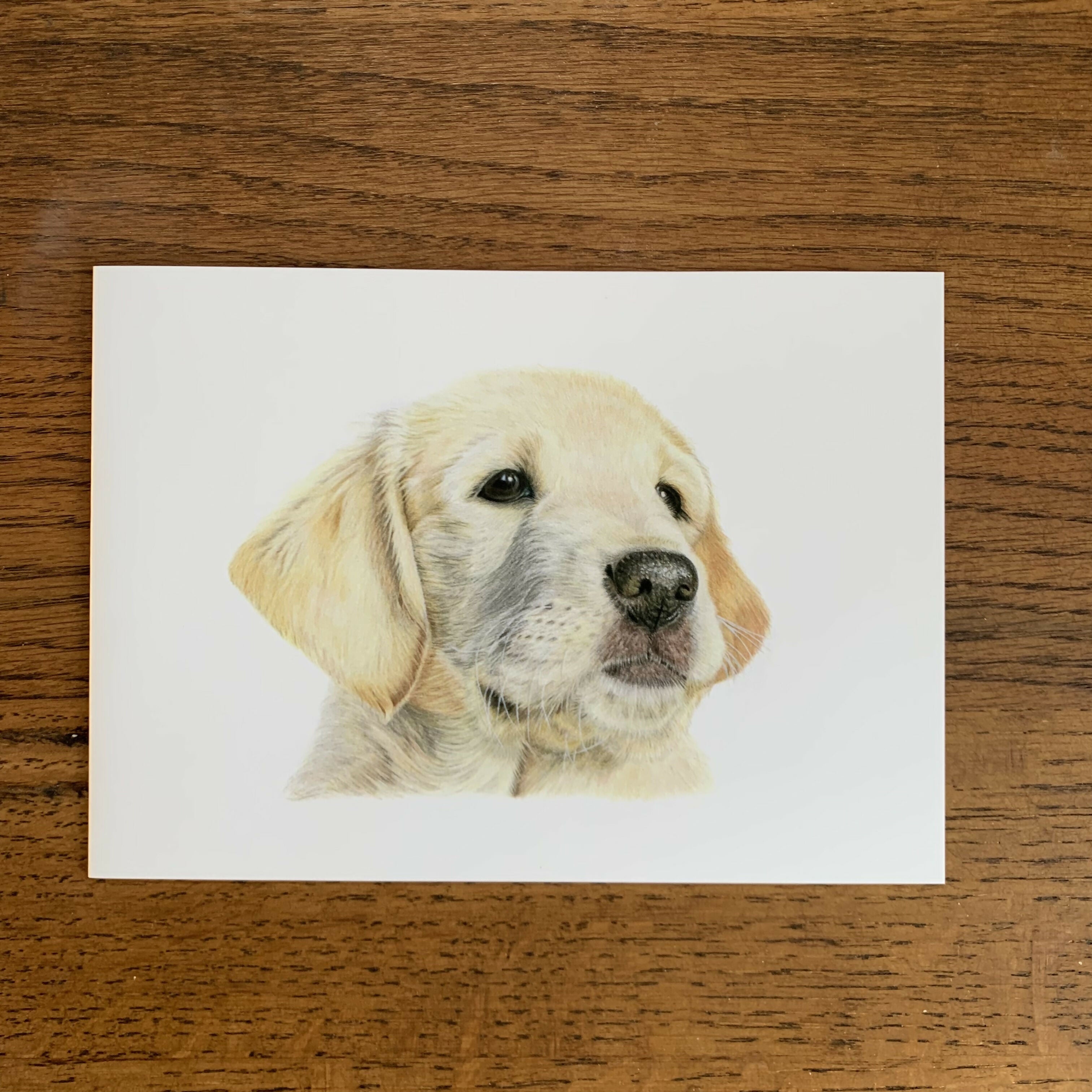 Greeting Card of a Labrador Puppy. Blank Inside