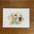 Greeting Card of a Labrador Puppy. Blank Inside