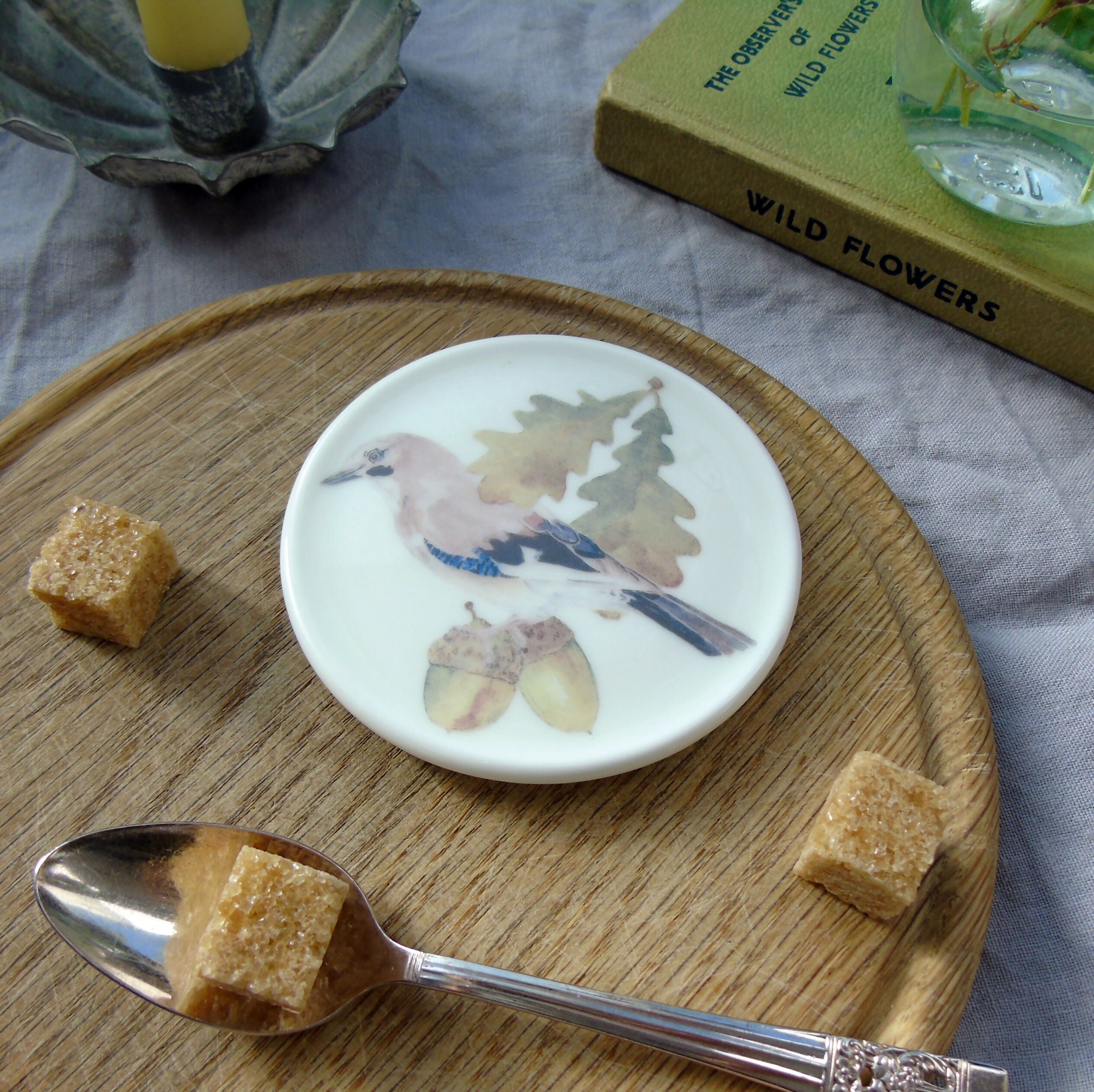 Jay and Acorn Coaster
