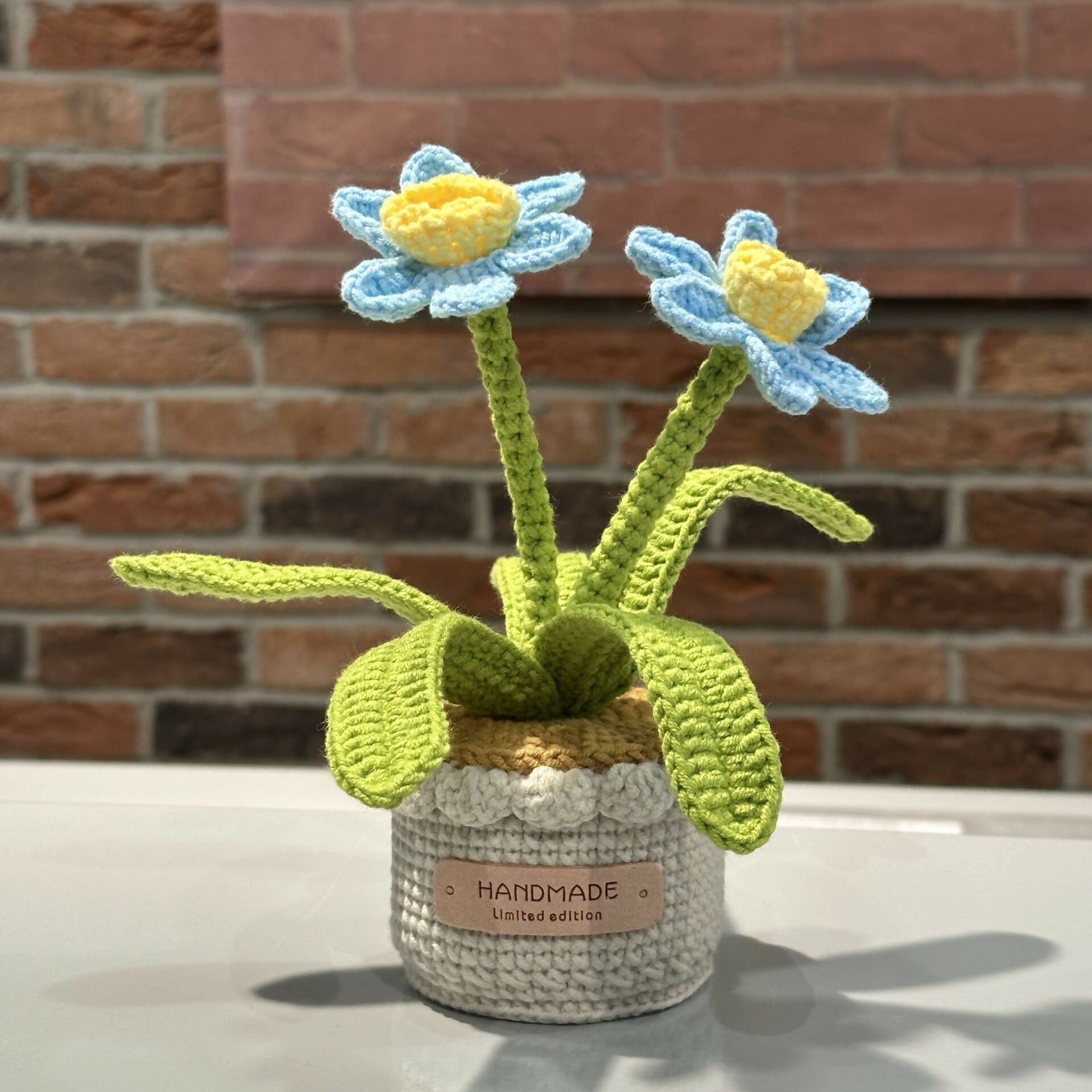 Crochet Daffodil In Scallop Edge Pot