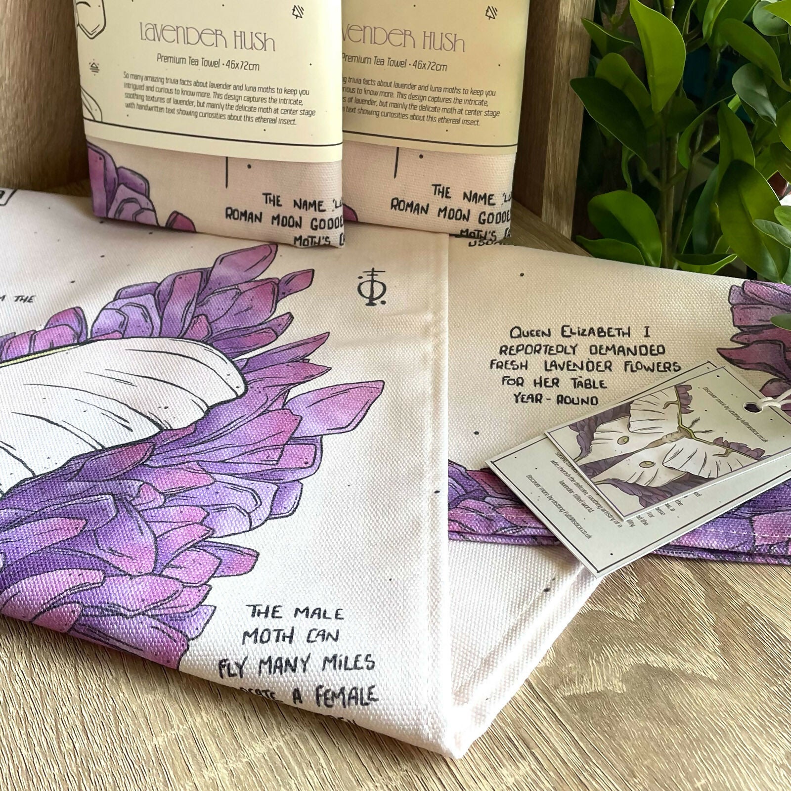 Luna Moth & Lavandula Compendium Tea Towel