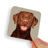 Labrador Brown Dog Coaster