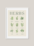 Herbs Art Print