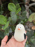 Seagull