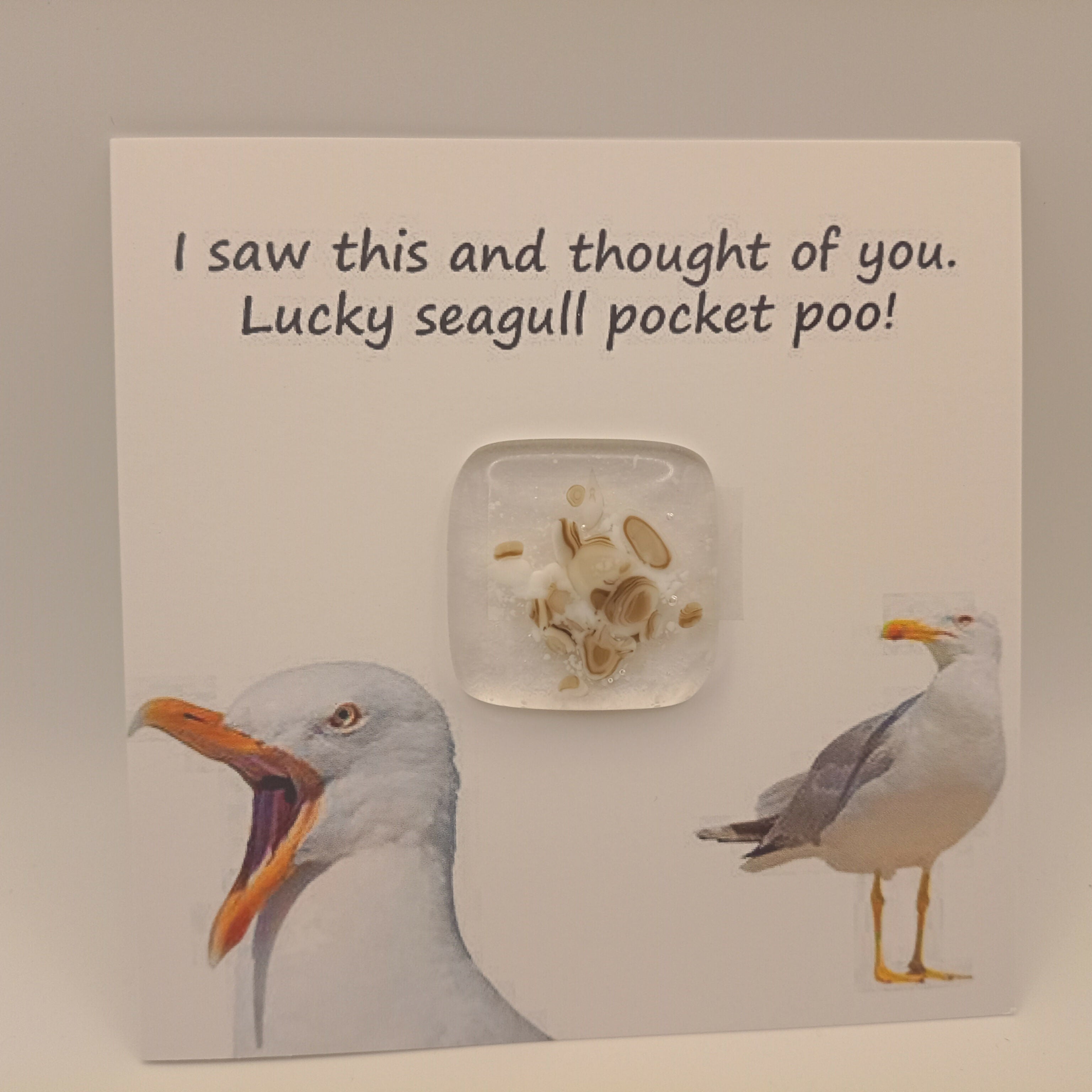Fused Glass Pocket Poo