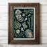 Akoya Oyster Pearl Seafood Illustration, A4 Print