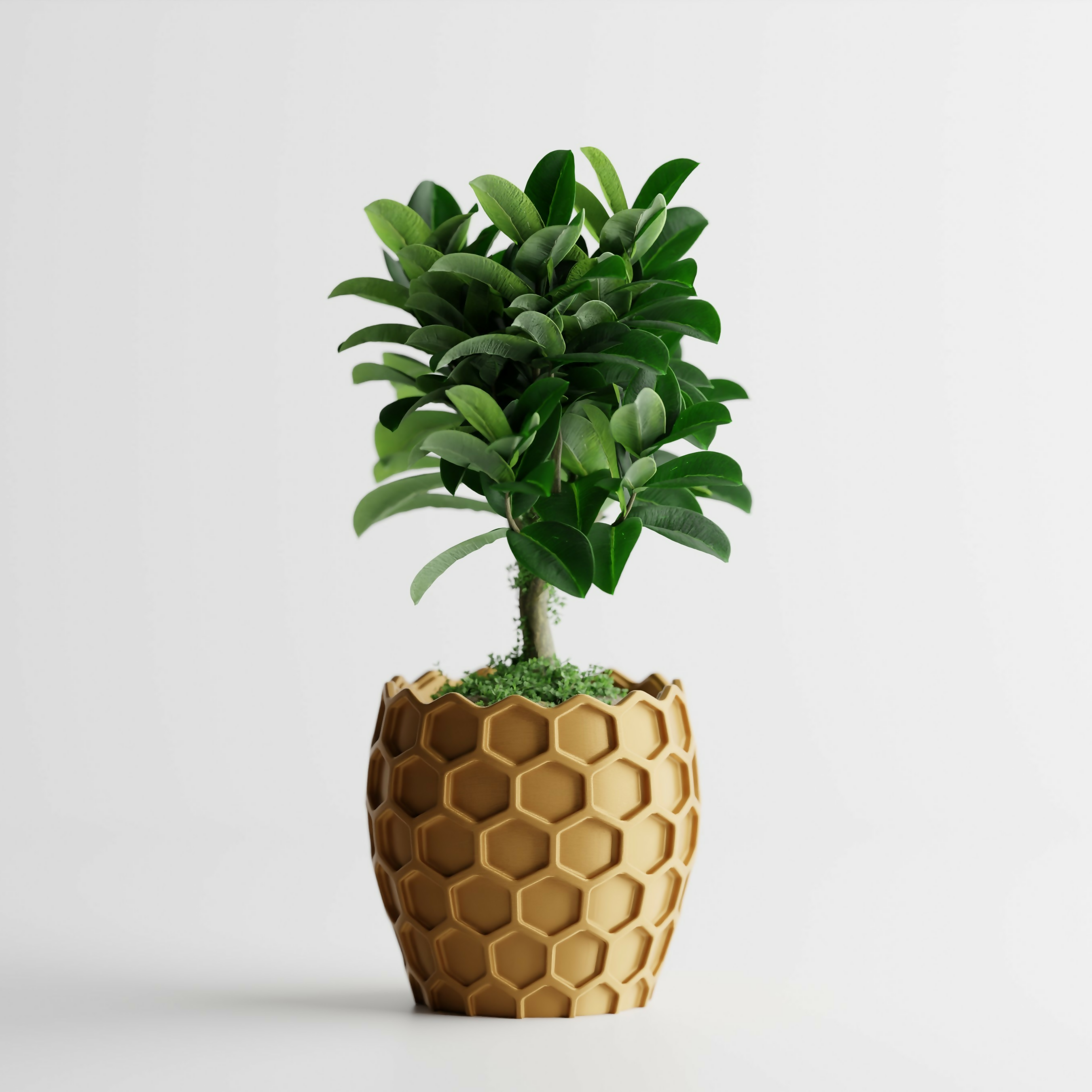Beehavia Planter
