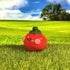 Tomato Friend Figure
