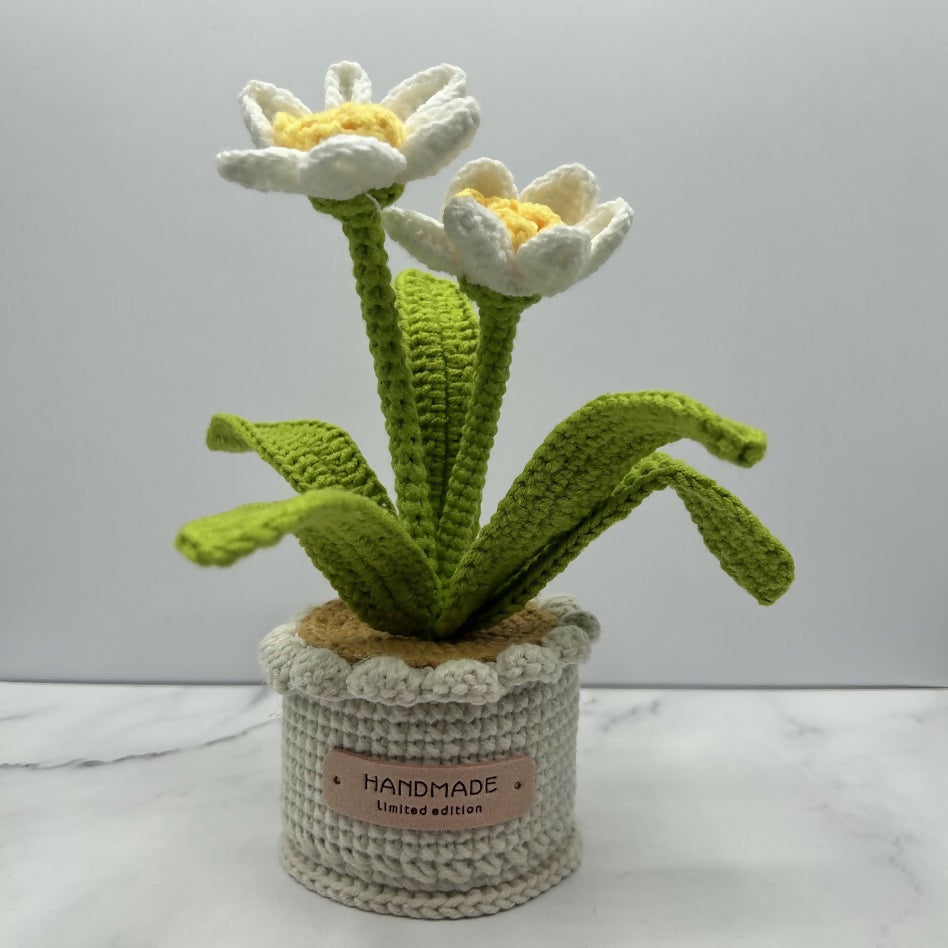 Crochet Daffodil In Scallop Edge Pot