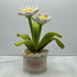 Crochet Daffodil In Scallop Edge Pot