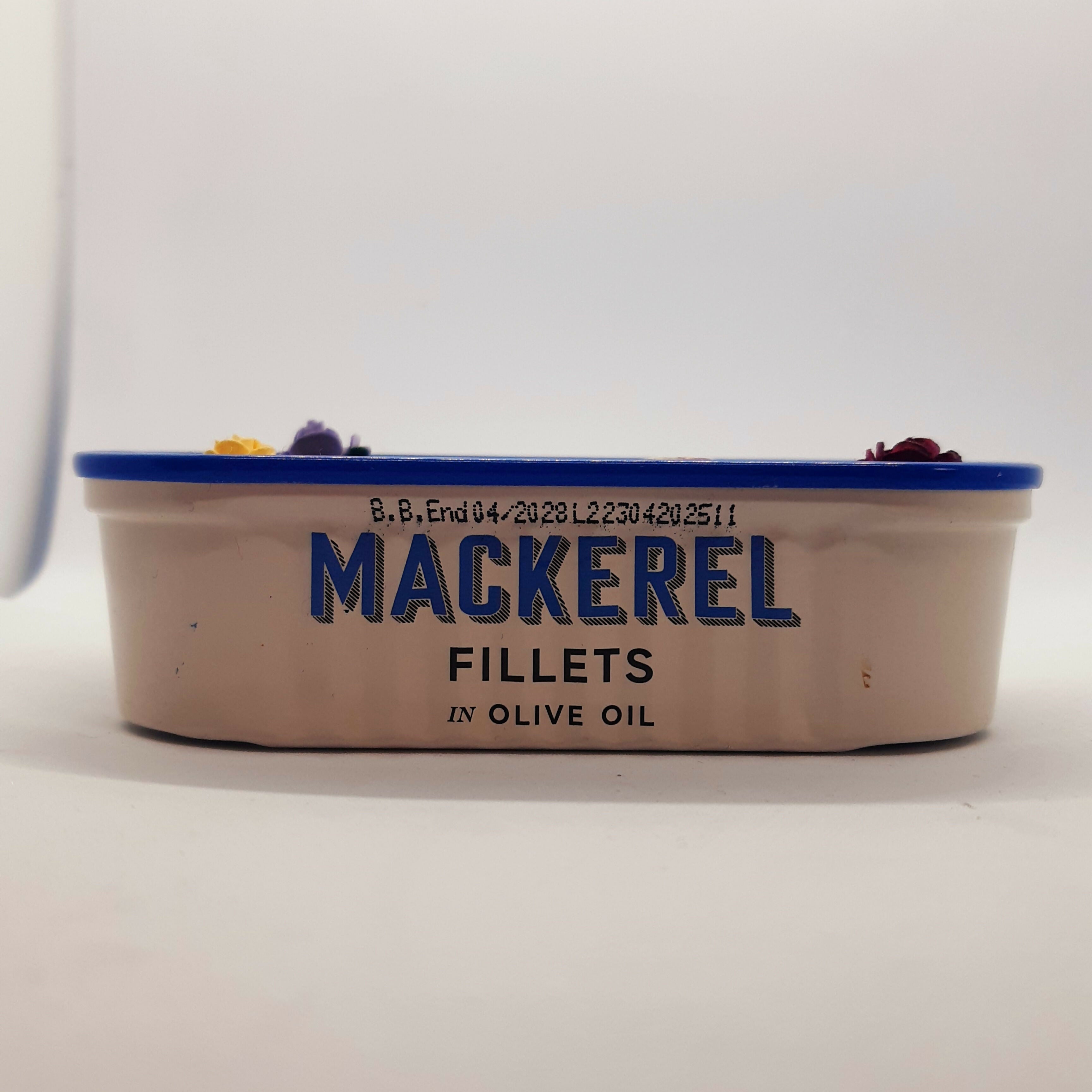 Toadstool and Hedgehog Garden Diorama Tin Desk Pet/Buddy