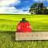 Tomato Friend Figure