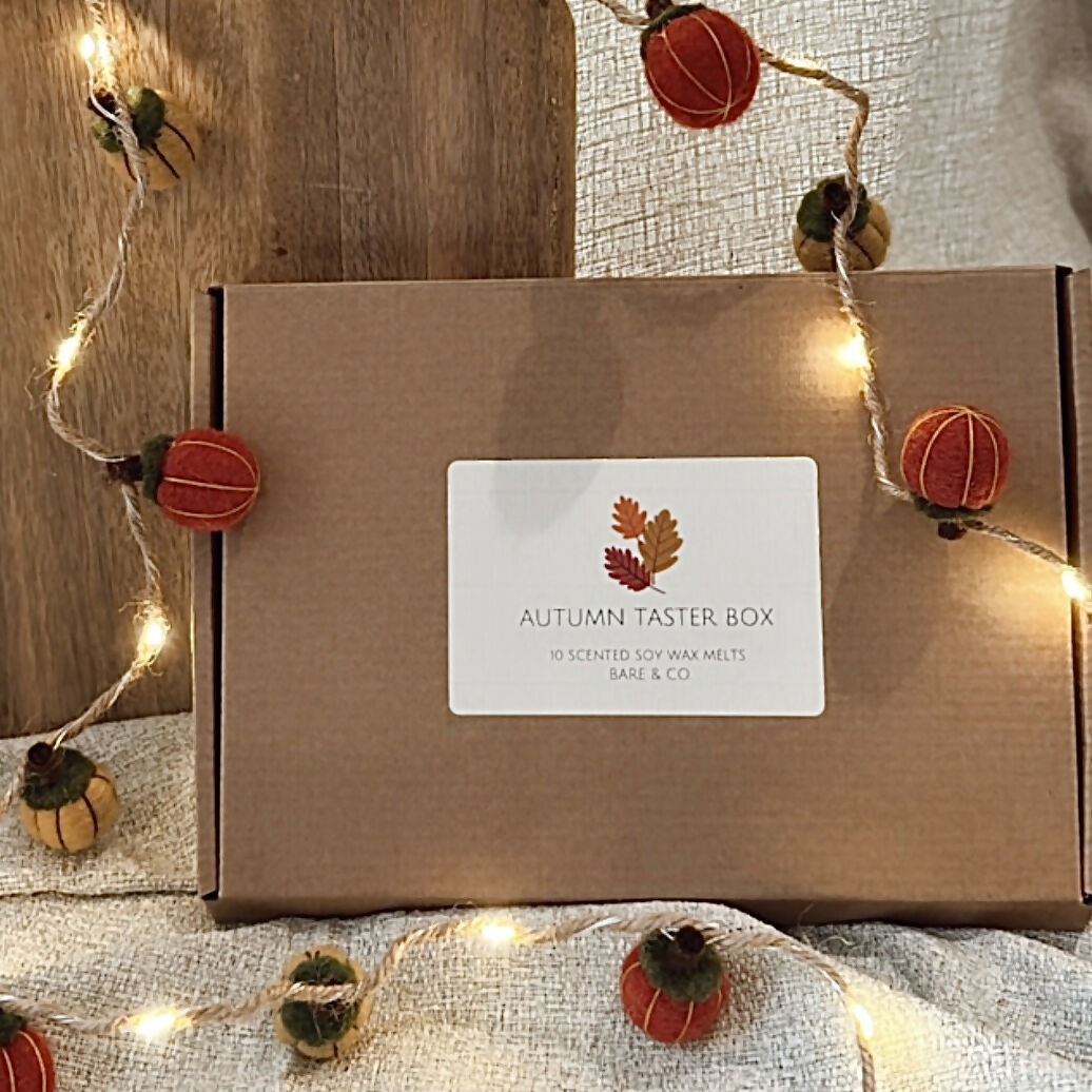 AUTUMN FRAGRANCES WAX MELT TASTER BOX