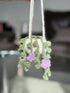Crochet Hanging Basket