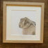 Fine Art Giclée Square Print of Hare "The Watcher"